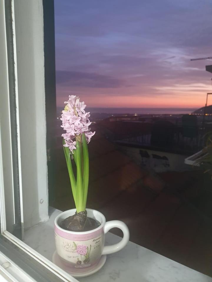 Appartamento Bellavista Castelnuovo Magra Exteriér fotografie